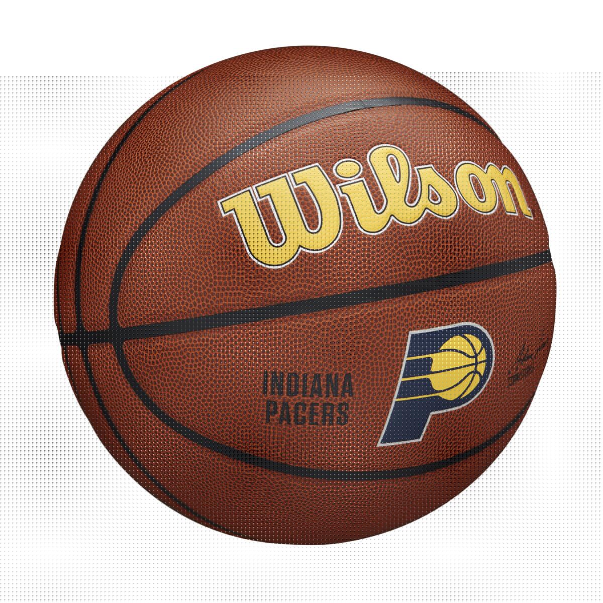 Alianza de Baloncesto Wilson NBA Team – Indiana Pacers