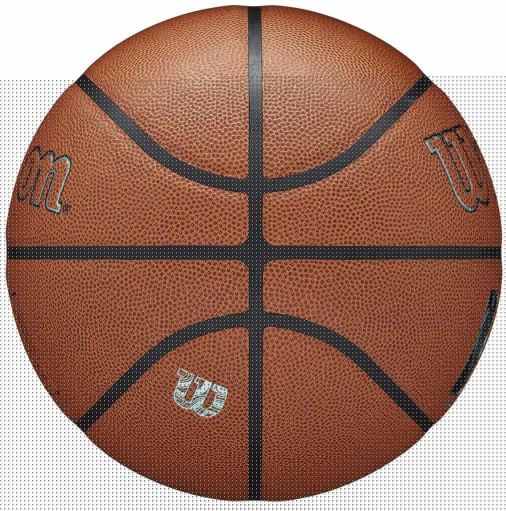 Balón de baloncesto Wilson NBA Forge Plus