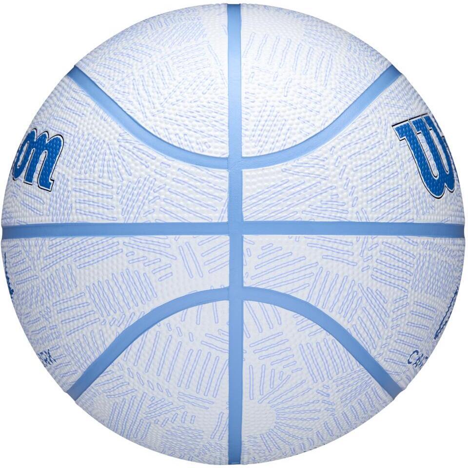 Wilson Caitlin Clark Envision Basketball