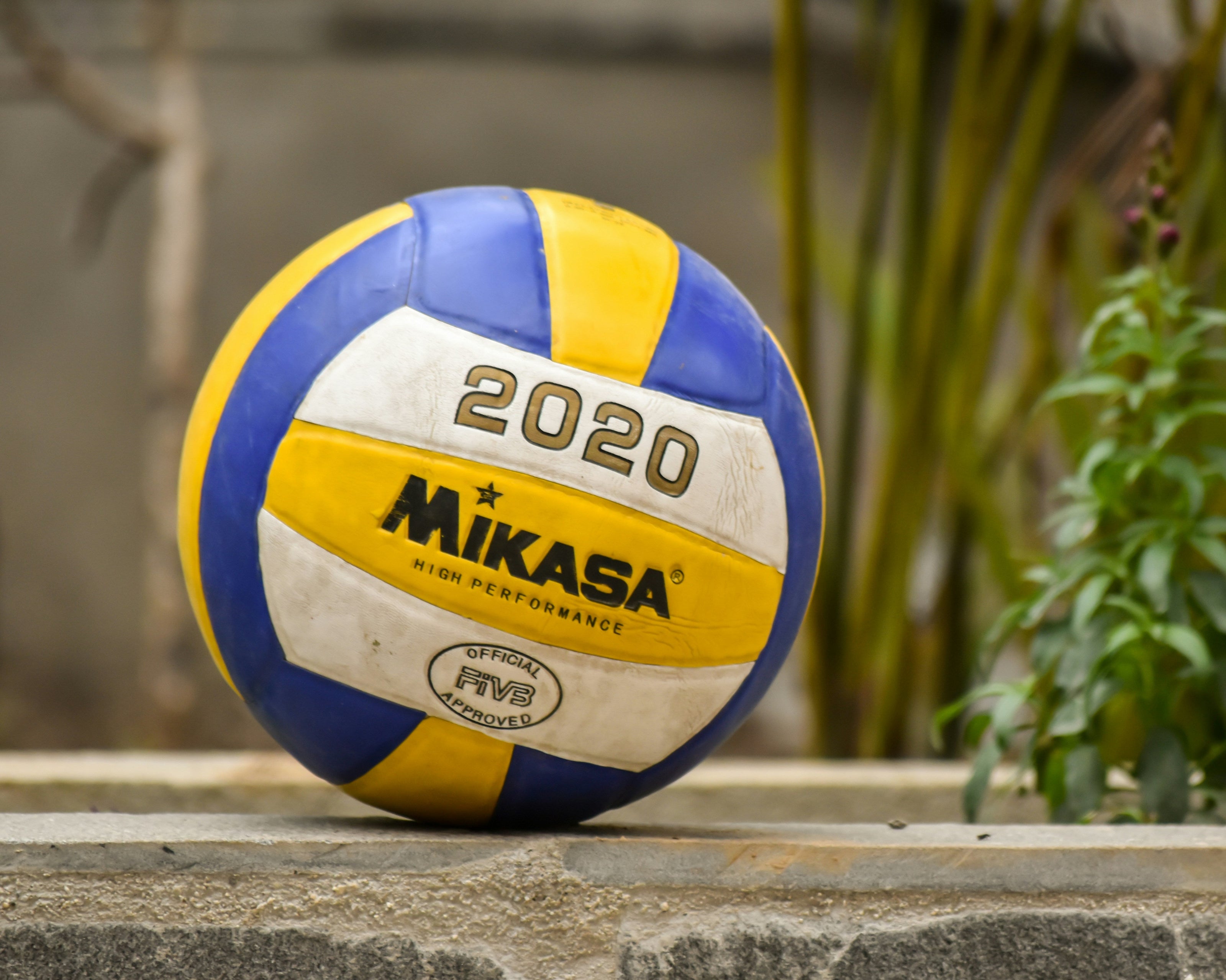 catégorie volley balles de sport